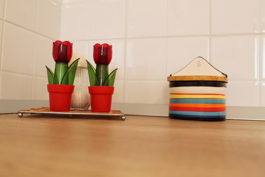 Apartments Tanja Živogošće Dış mekan fotoğraf