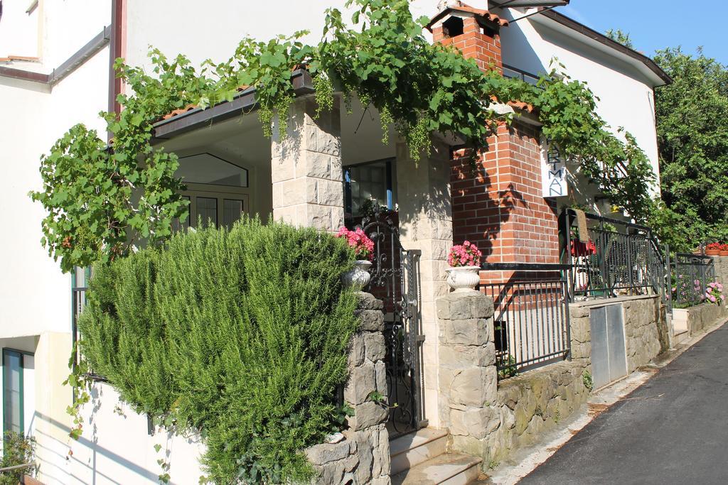 Apartments Tanja Živogošće Dış mekan fotoğraf